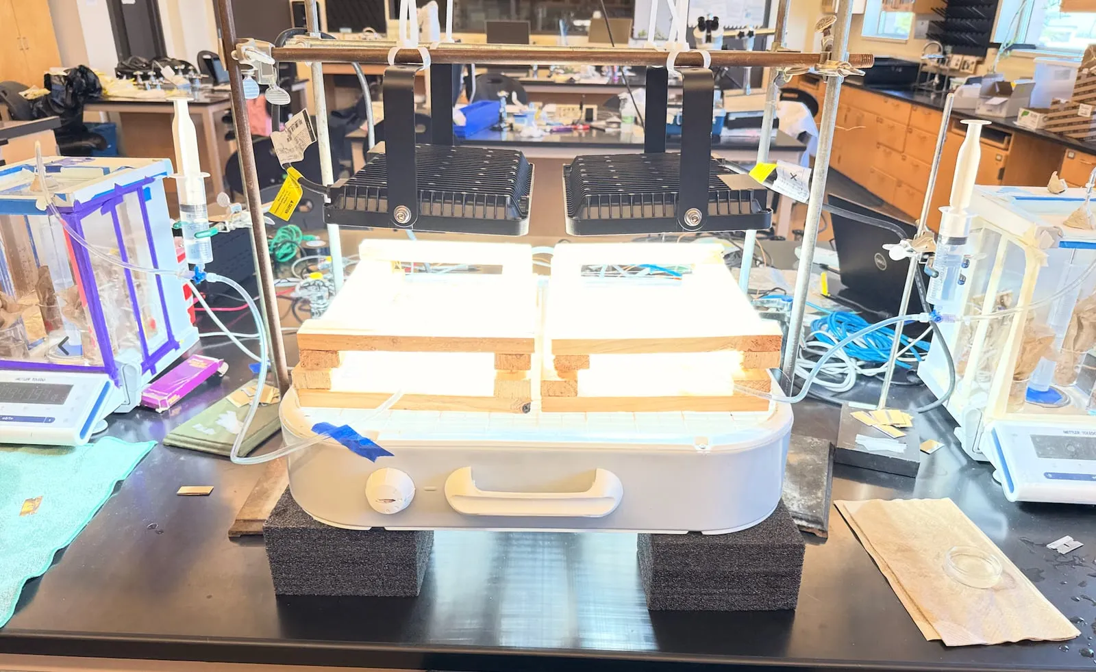 The evaporative flux bench used to measure leaf hydraulic conductance.