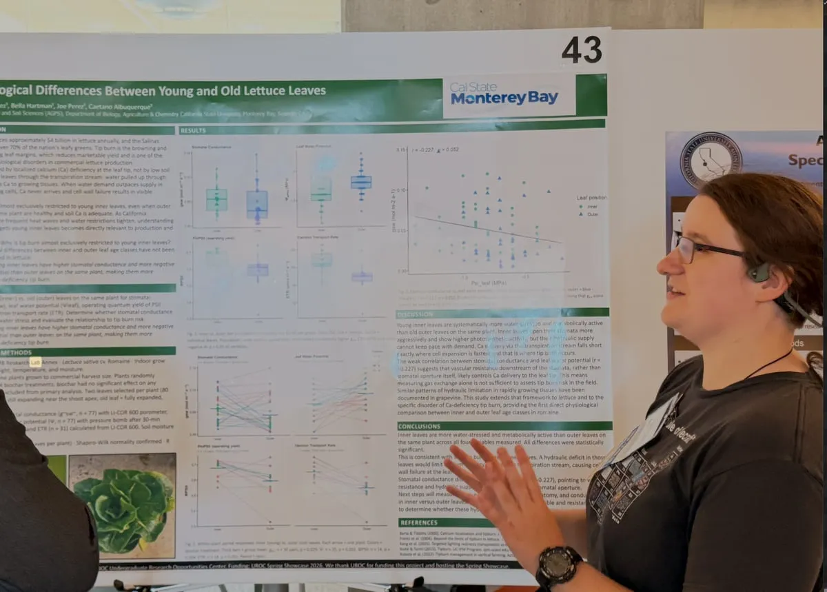 Presenting differences between young and old lettuce leaves.