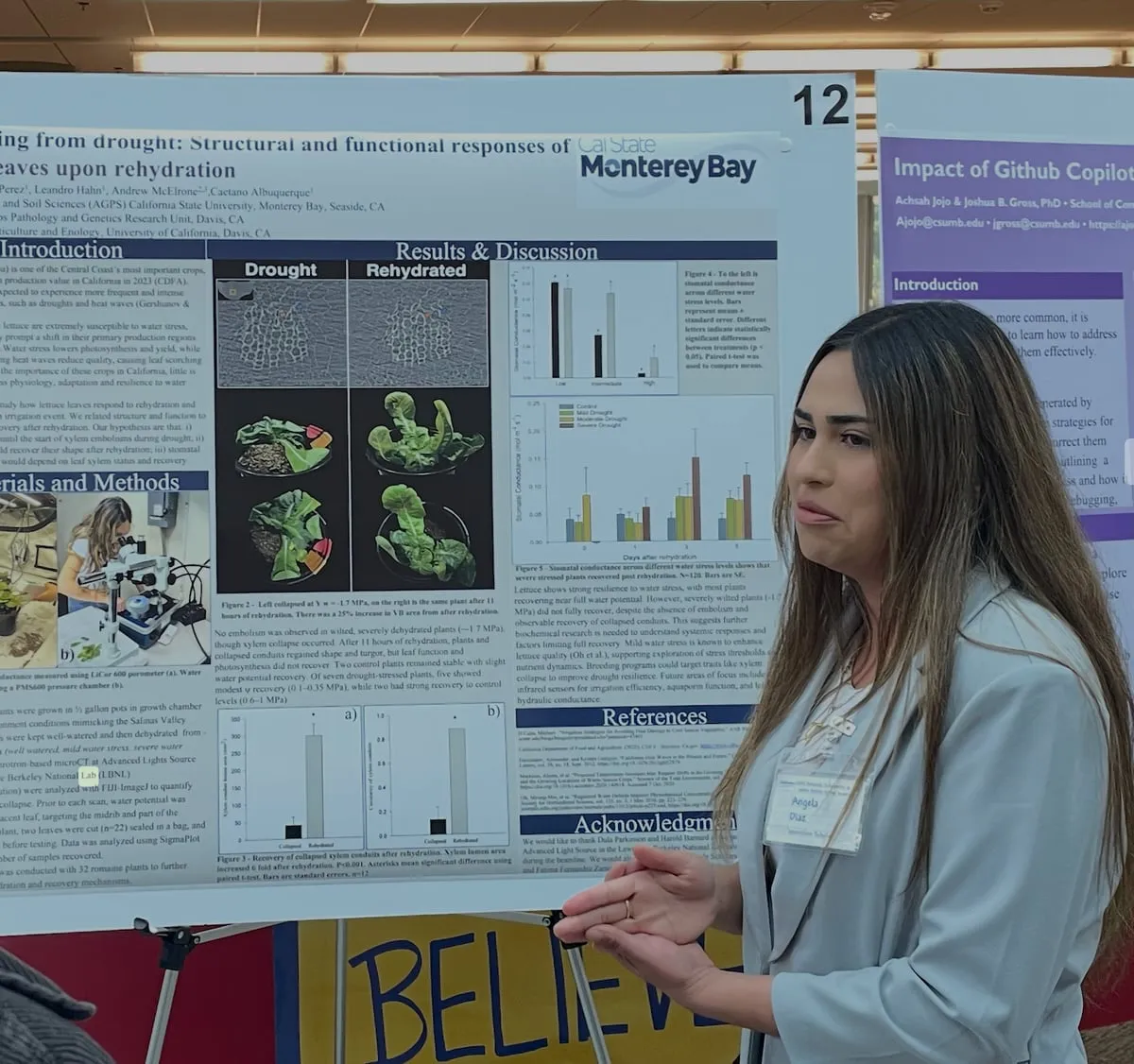 Presenting how lettuce leaves recover after rewatering.