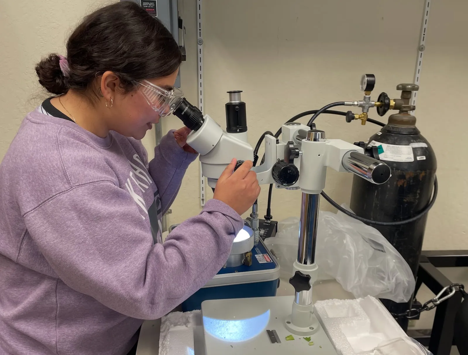 A student at the stereomicroscope.