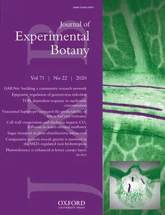 Cover of Journal of Experimental Botany, volume 71, issue 22, 2020