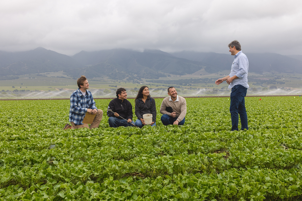 Field teaching and lab group in lettuce