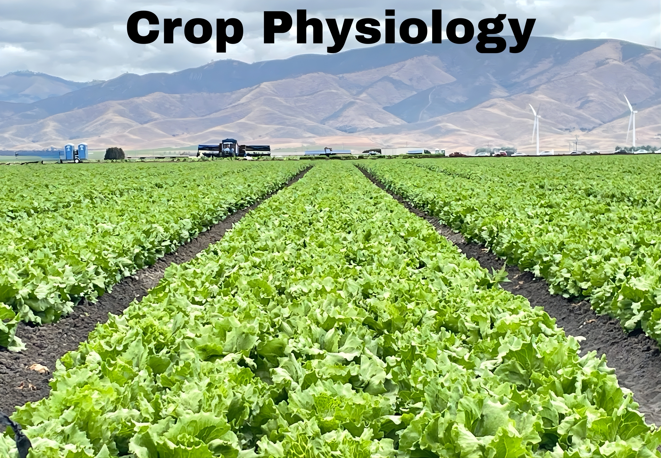 Lettuce field in the Salinas Valley with Crop Physiology title